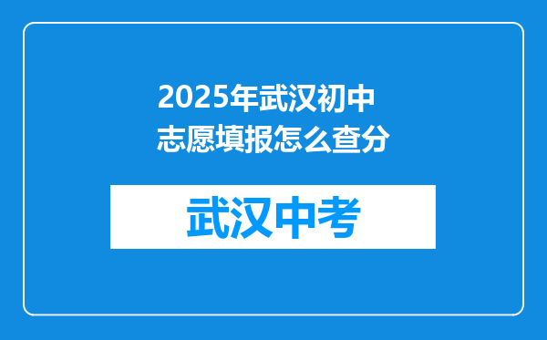 2026年武汉初中志愿填报怎么查分