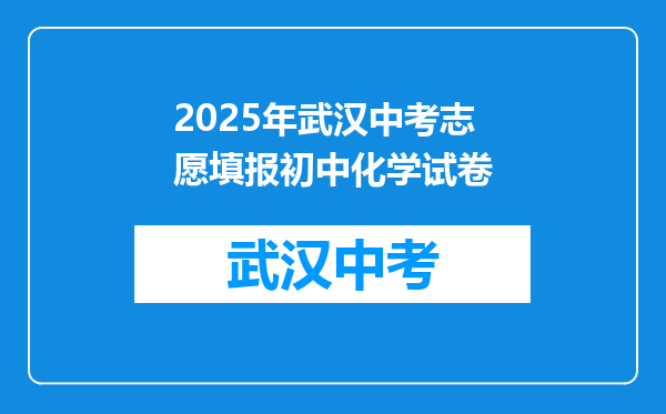 2026年武汉中考志愿填报初中化学试卷