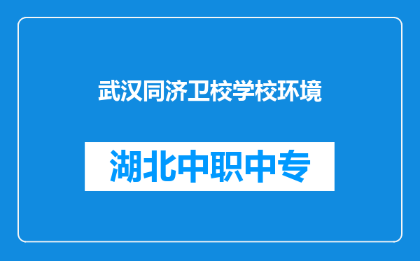 武汉同济卫校学校环境