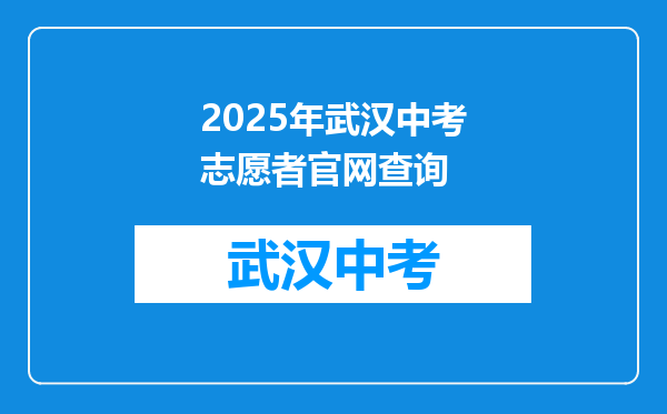 2026年武汉中考志愿者官网查询